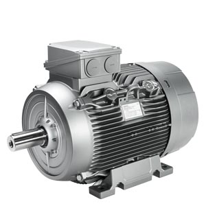 SIMOTICS GP VSD Motors for converter operation